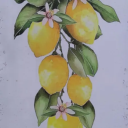 The Lemon Grove House - Large Private Garden, Private Pool - Perfect For Families Dom wakacyjny