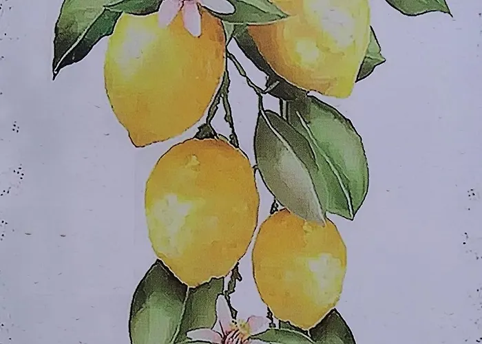 The Lemon Grove House - Large Private Garden, Private Pool - Perfect For Families Сasa de vacaciones